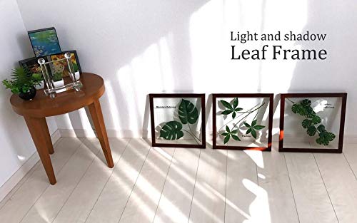 Amazon.co.jp: リーフパネル Forest Deco Elaeis Guineensis(ギニア